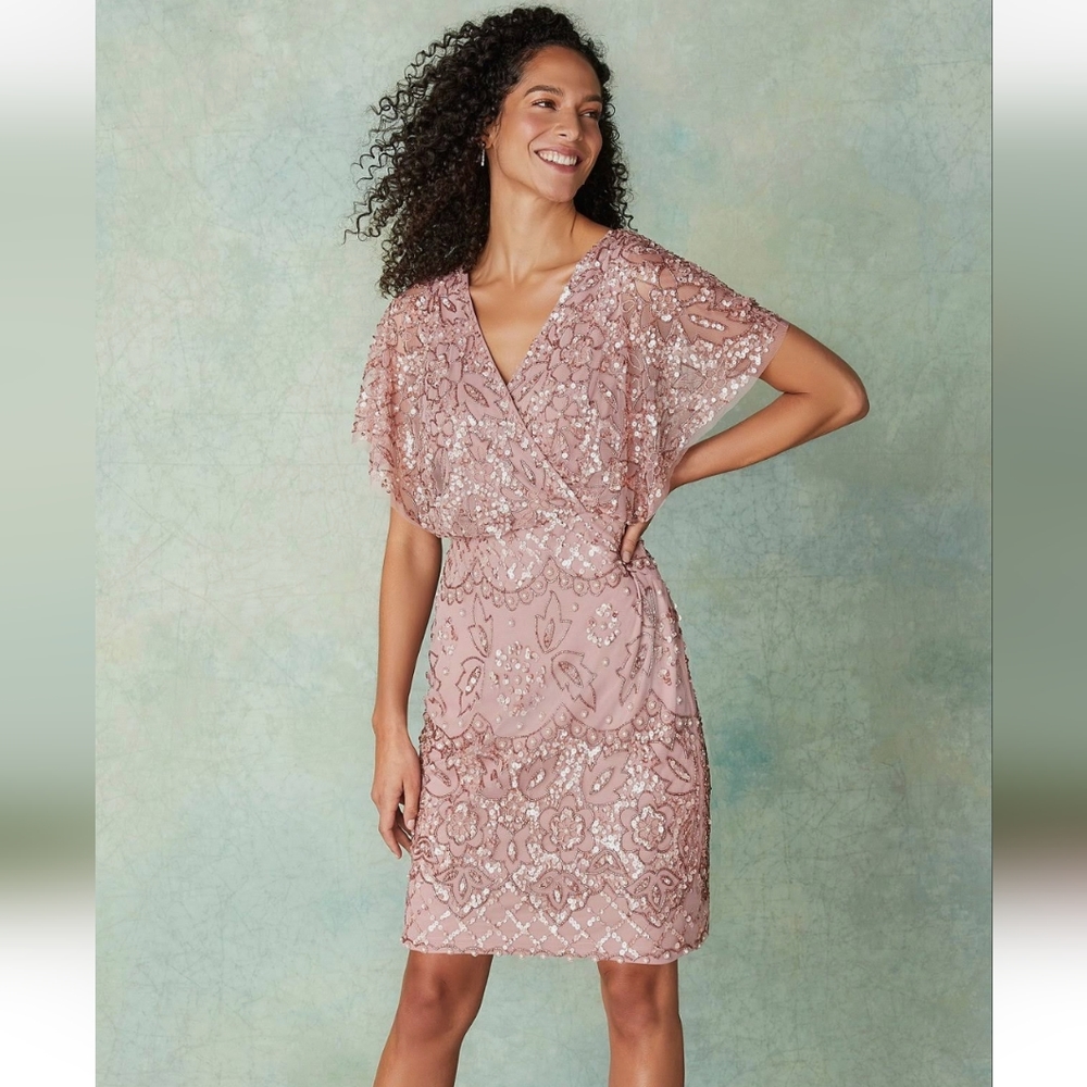 NWT Adrianna Papell Beaded Blouson Dress sz 4 - Picture 5 of 10